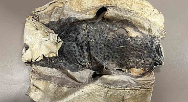 İzinsiz kullanılan Balon balığı projesi mahkemelik oldu