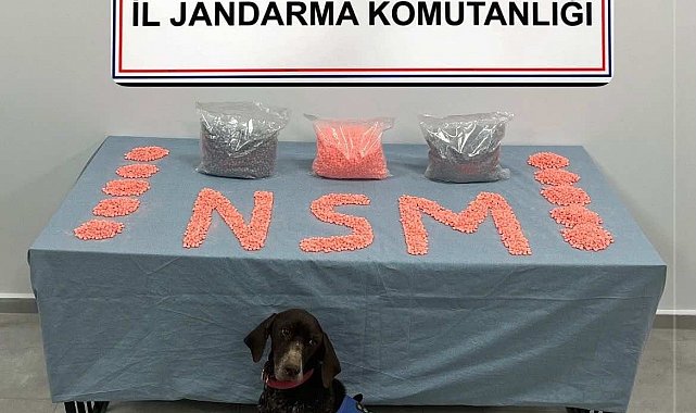 Jandarma KOM'un başarılı operasyonunda 28 bin adet uyuşturucu hap ele geçirildi