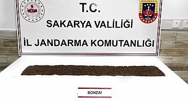 Jandarma uyuşturucuya geçit vermiyor: 1 tutuklama