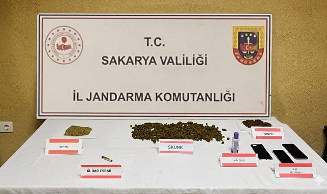 Jandarmadan uyuşturucu baskını: Ev sahibi tutuklandı