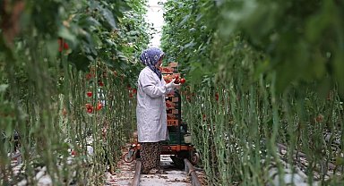 Jeotermal, 2025'te yatırım uykusundan uyandı