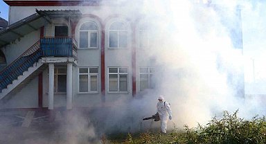 Kahverengi kokarca kışlak mücadelesi sürüyor