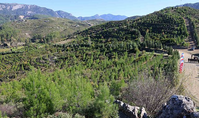 Kara tablo, 6 yılda yeşil örtüye dönüştü