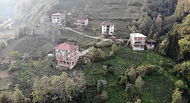 Karadeniz'de tuğlalı yapılar hem göze hem de cebe zarar