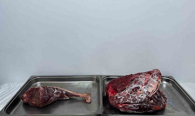 Karaman'da yaban keçisi avlayan şahıslara 954 bin 208 lira ceza