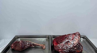 Karaman'da yaban keçisi avlayan şahıslara 954 bin 208 lira ceza