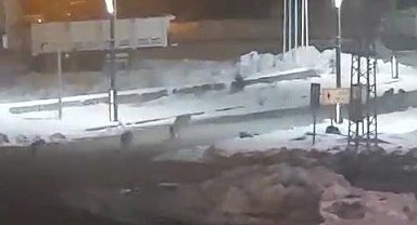 Karayazı'da akşam saatlerinde kurt alarmı