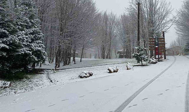 Kartepe'ye lapa lapa kar yağıyor