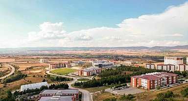 Kastamonu Üniversitesi'nin kayın kontrplak üretimine yönelik çalışması tescillendi
