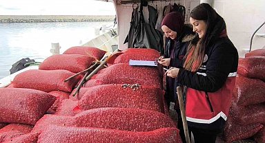 Kastamonu'da beyaz kum midyesi denetimi