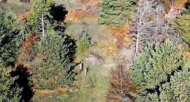 Kastamonu'da dron ile tespit edilen 4 kaçak avcıya cezai işlem