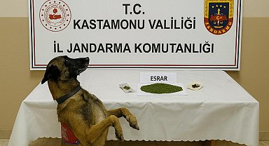 Kastamonu'da uyuşturucu operasyonu: 1 tutuklama