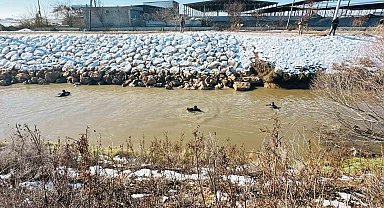 Kayıp sürücüyü arama çalışması devam ediyor