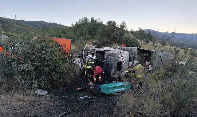 Kaza yaptıktan sonra alevlere teslim olan tırdaki 2 kişi öldü, taşınan anguslar otobana yayıldı