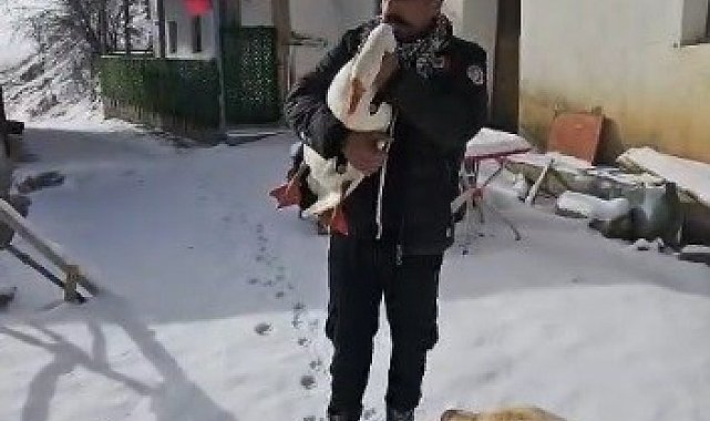 Kazından helallik istedi