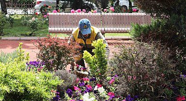 Keçiören'de seradan parklara uzanan yeşil yolculuk