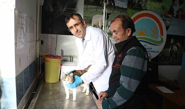 Kedi ve köpeklere mikroçip uyarısı: 31 Aralık son gün