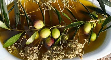 Kekik ve zeytinyağı, doğanın iki şifa kaynağı taşbaskıda bir araya geldi