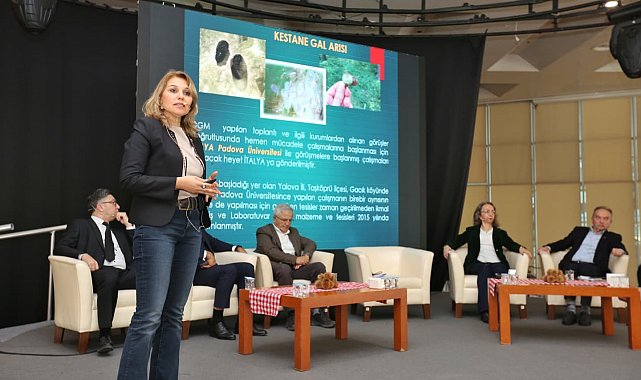 Kestane Büyükşehir'le filizleniyor