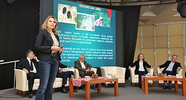 Kestane Büyükşehir'le filizleniyor