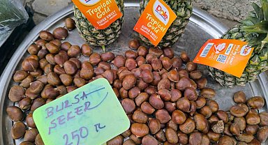 Kestane fiyatıyla yüzleri güldürdü