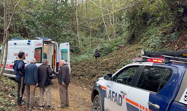 Kestiği ağacın çarptığı vatandaş uçuruma yuvarlandı