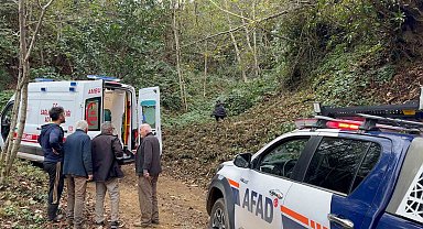 Kestiği ağacın çarptığı vatandaş uçuruma yuvarlandı