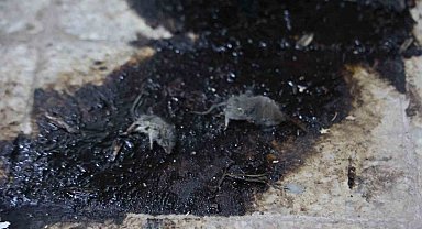 Kilis'te hijyen şartlarına aykırı üretim yapan işletmeye 105 bin TL ceza