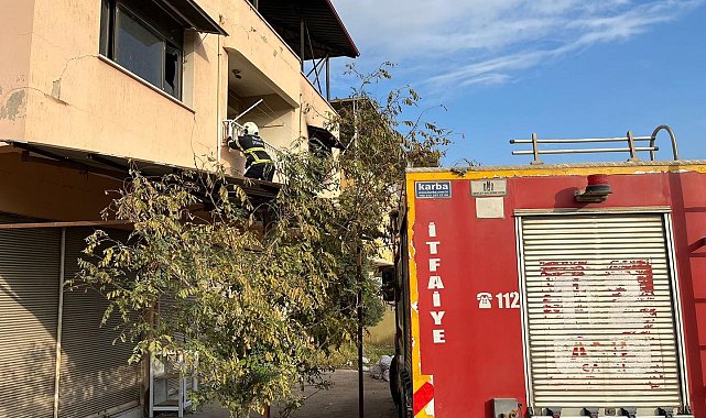 Kırıkhan'da çatıda mahsur kalan kediyi itfaiye kurtardı