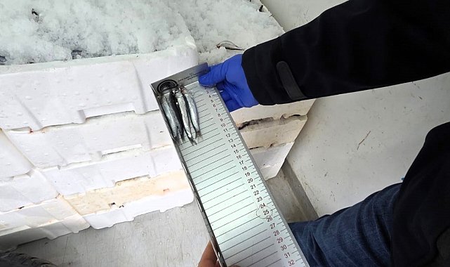 Kırklareli'nde su ürünleri denetimi