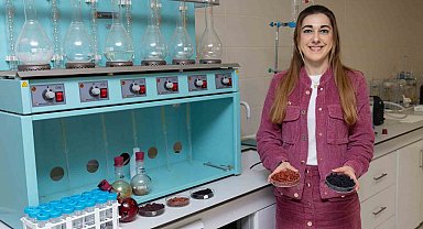 Kırmızı-mor meyvelerden fonksiyonel gıda ürünü