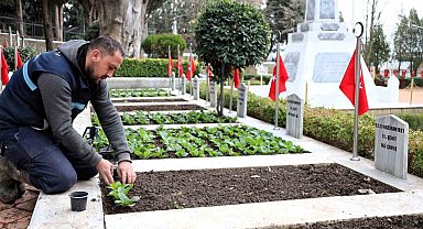 Kocaeli'de şehitliklerde bakım ve çiçeklendirme çalışması