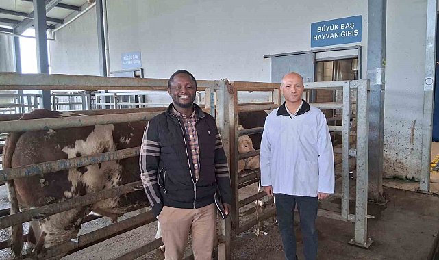 Kocaeli'deki mezbaha tesisi İslam ülkelerine örnek gösterildi