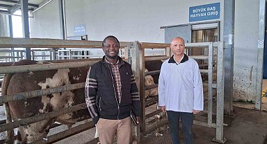 Kocaeli'deki mezbaha tesisi İslam ülkelerine örnek gösterildi