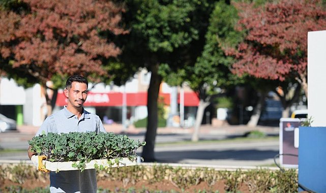 Konyaaltı'nda mevsimlik çiçek ekimi