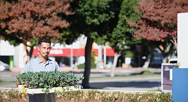 Konyaaltı'nda mevsimlik çiçek ekimi