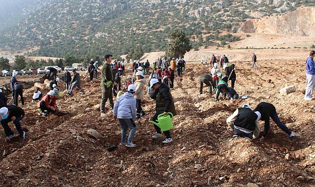 Korkuteli'nde 3 bin fidan toprakla buluştu