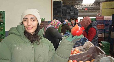 Korkuteli'nden nar ihracatı başladı