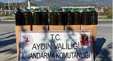Köşk'te 500 kilogram sahte zeytinyağı yakalandı