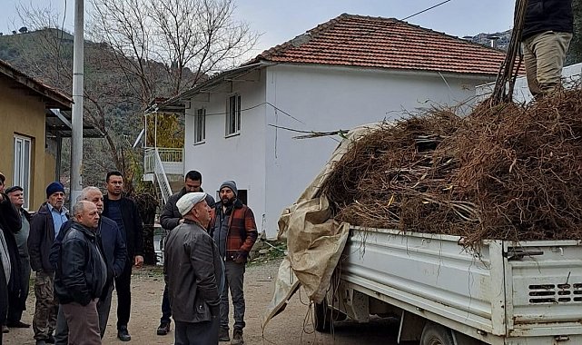 Köşk'te köklü kestane fidanları üreticilere dağıtıldı