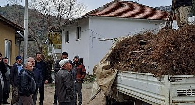 Köşk'te köklü kestane fidanları üreticilere dağıtıldı