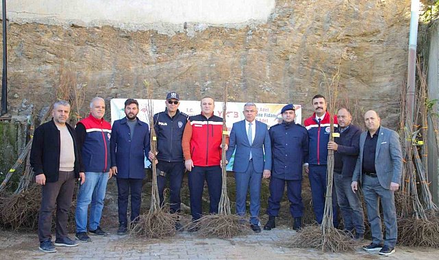 Köşklü üreticilere kestane fidanı dağıtıldı
