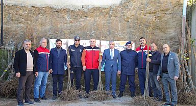 Köşklü üreticilere kestane fidanı dağıtıldı