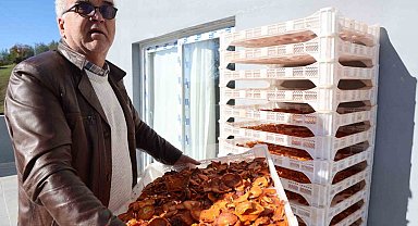 Köyde kurulan tesisle kurutulan cennet hurmaları Almanya'ya ihraç edildi