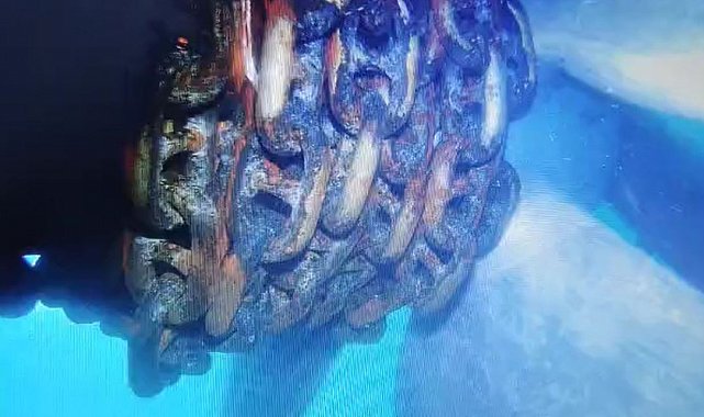 Küçükçekmece'de Alatepe Tankeri pervanesine dolanan zincir su altından görüntülendi