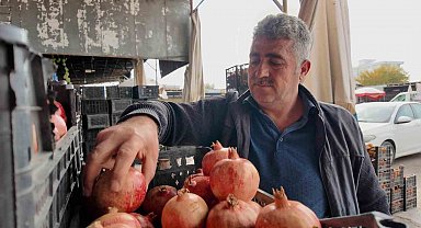 Kuraklık Zivzik narında verimi yarı yarıya düşürdü