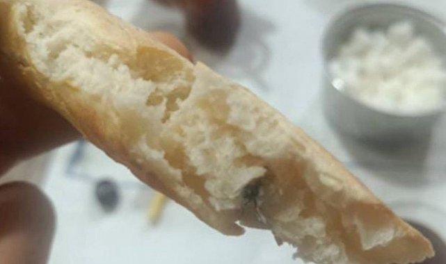 Kurtalan'da ekmeğin içinden sinek çıktı