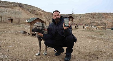 Kurtlar yerleşim yerlerine dadandı, uzmanı çare olarak Kangalları gösterdi
