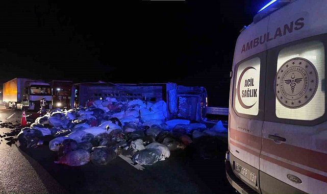 Kuzey Marmara Otoyolu'nda kamyonet devrildi: 2 yaralı