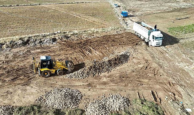 Malatya'da şeker pancarında yüksek verim çiftçinin yüzünü güldürdü
